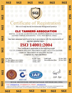 Certificate (ISO 14001 : 2004 E.M.S)  